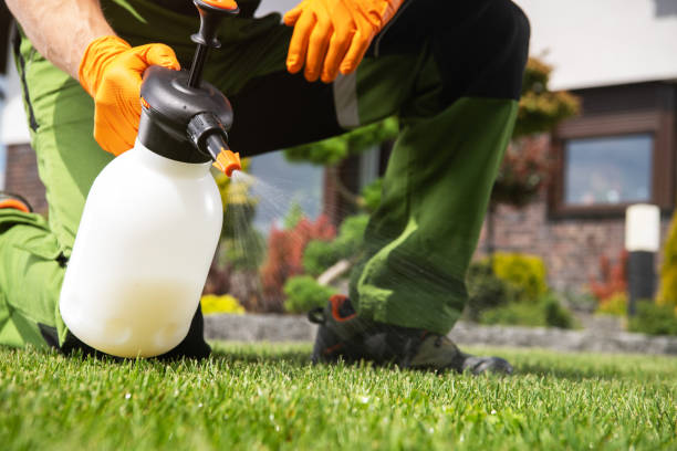 Best Wildlife Control Services  in New Deal, TX