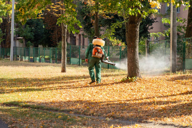 Pest Prevention Services in New Deal, TX